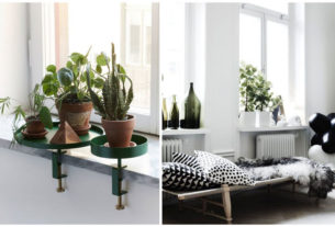 LOOK AFTER YOUR HOUSEPLANTS ON A DAILY BASIS