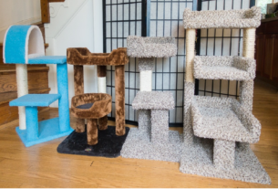 Get High-Quality Cat Furniture at Competitive Cost