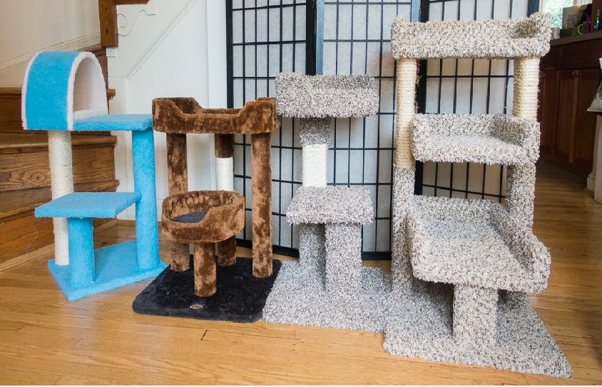 Get High-Quality Cat Furniture at Competitive Cost