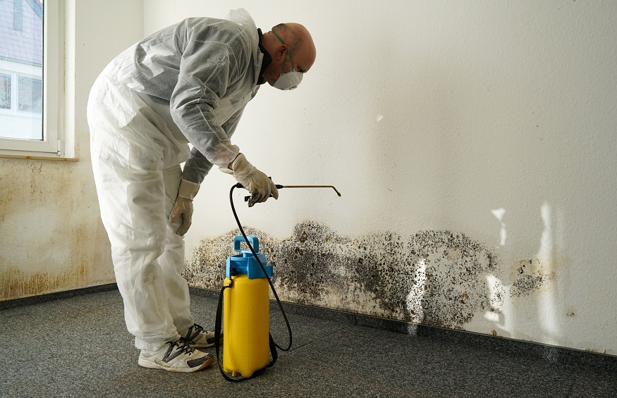 The Best Way To Deal With Water Damage Restoration
