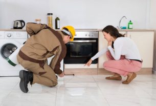 Factors To Consider Before Hiring A Building And Pest Inspector