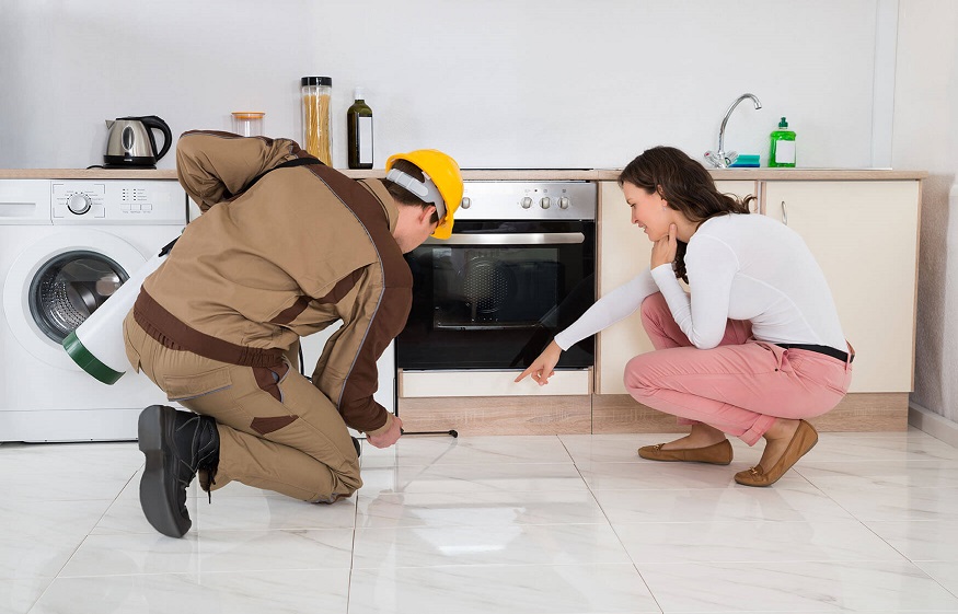 Factors To Consider Before Hiring A Building And Pest Inspector